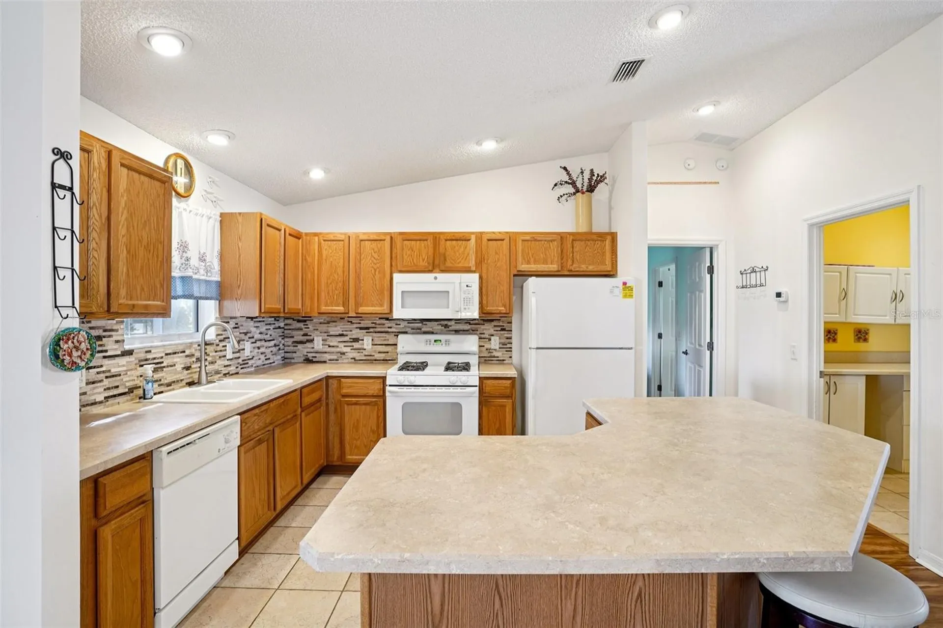 3499 Auburndale Avenue The Villages FL 32162