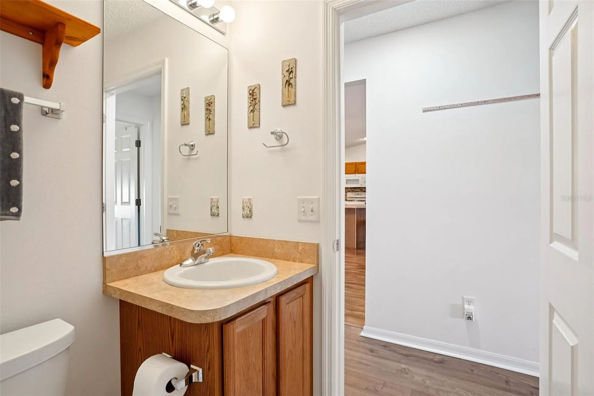 3499 Auburndale Avenue The Villages FL 32162