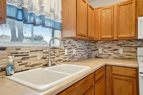 3499 Auburndale Avenue The Villages FL 32162