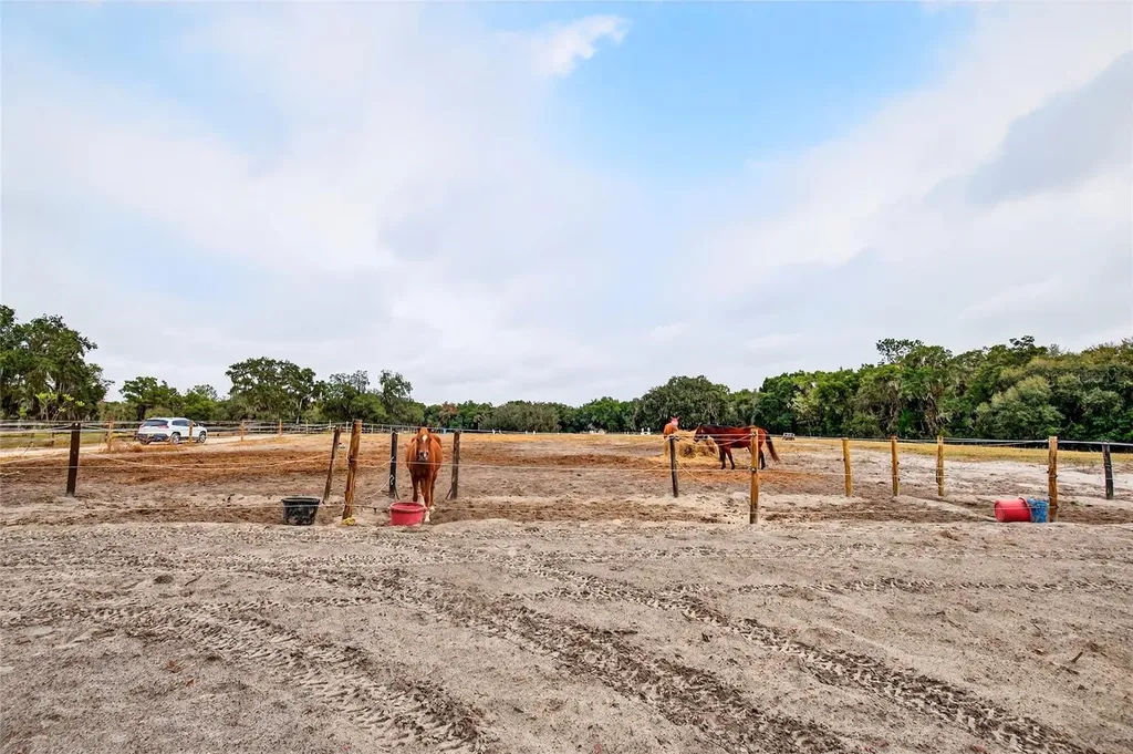 650 NE 170th Avenue Williston FL 32696