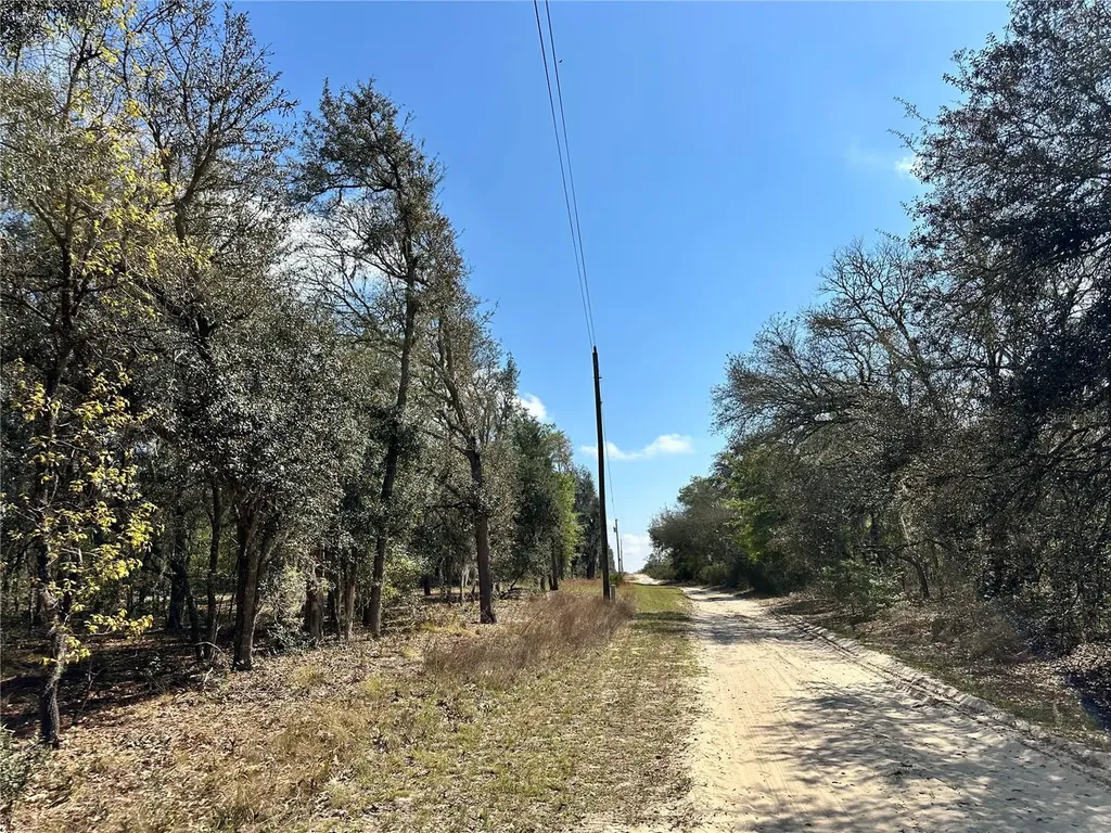 Tbd NE 68th Place Bronson FL 32621