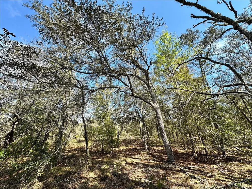 Tbd NE 68th Place Bronson FL 32621