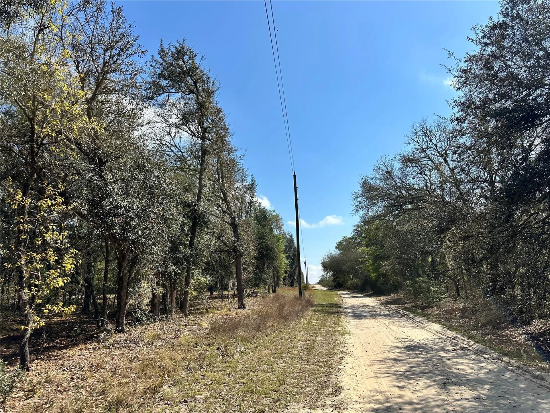 Tbd NE 68th Place Bronson FL 32621