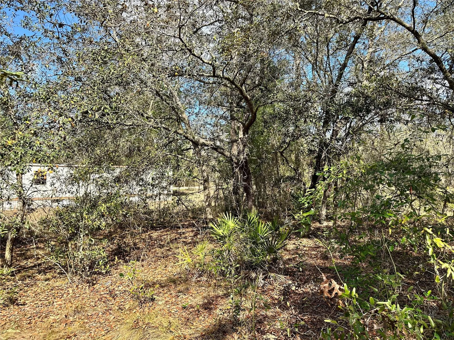 Tbd NE 68th Place Bronson FL 32621