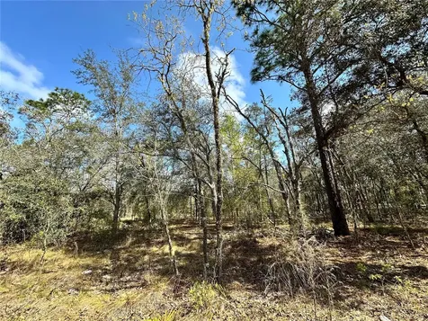 Tbd NE 68th Place Bronson FL 32621