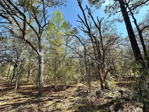 Tbd NE 68th Place Bronson FL 32621