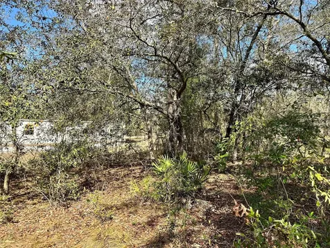 Tbd NE 68th Place Bronson FL 32621