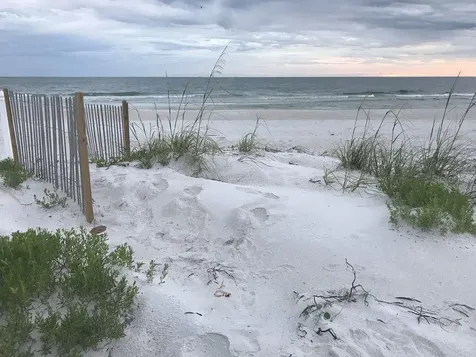 1230 Gulf Boulevard Clearwater Beach FL 33767
