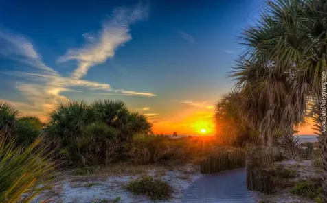1230 Gulf Boulevard Clearwater Beach FL 33767