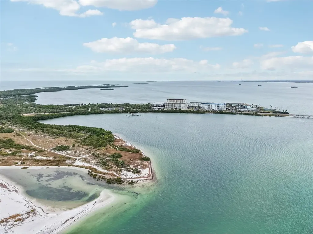 9 Haig Place Dunedin FL 34698