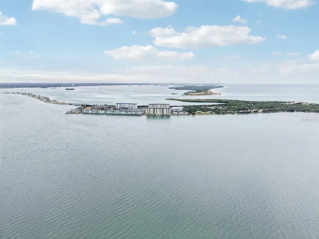 9 Haig Place Dunedin FL 34698