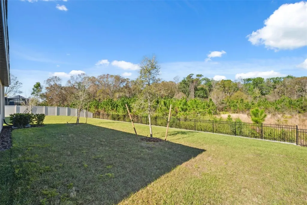 16787 Shell Bay Drive Land O Lakes FL 34638