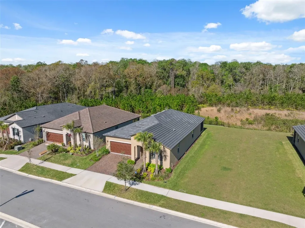 16787 Shell Bay Drive Land O Lakes FL 34638