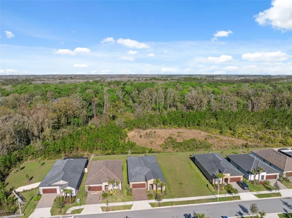 16787 Shell Bay Drive Land O Lakes FL 34638