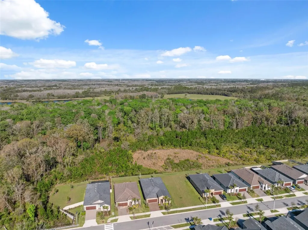16787 Shell Bay Drive Land O Lakes FL 34638