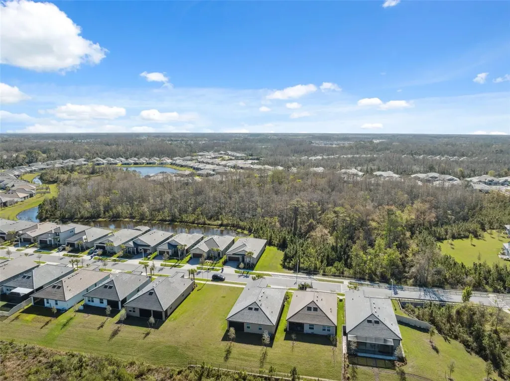 16787 Shell Bay Drive Land O Lakes FL 34638