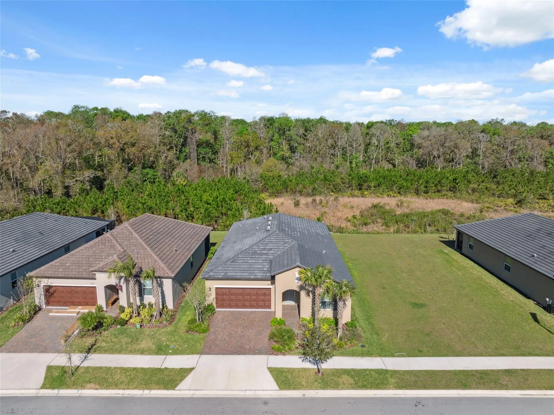 16787 Shell Bay Drive Land O Lakes FL 34638