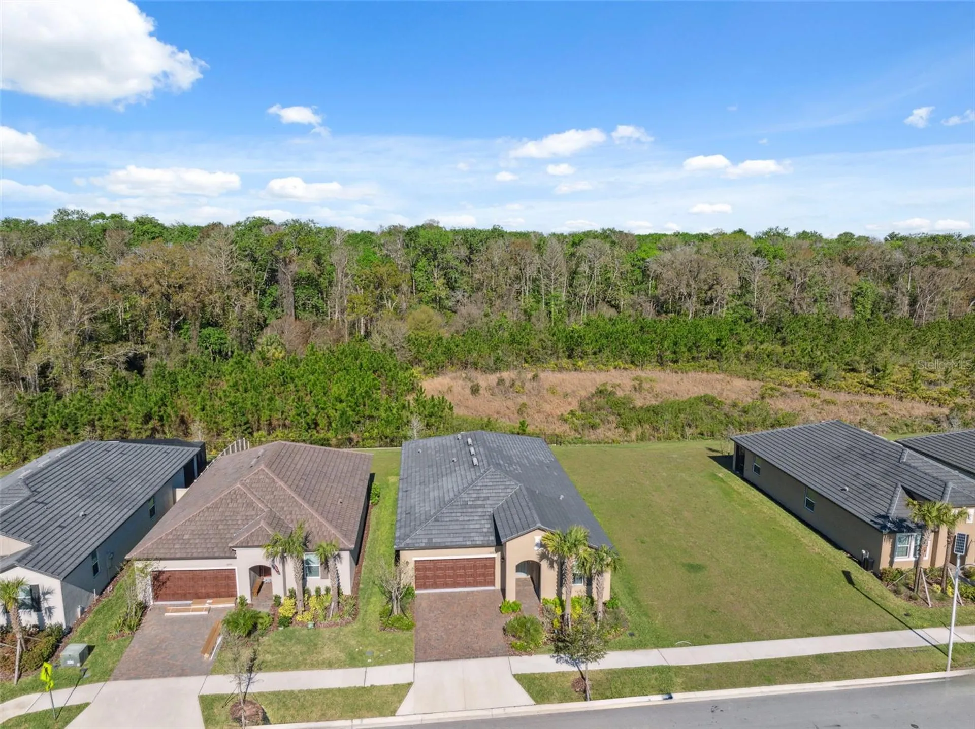 16787 Shell Bay Drive Land O Lakes FL 34638