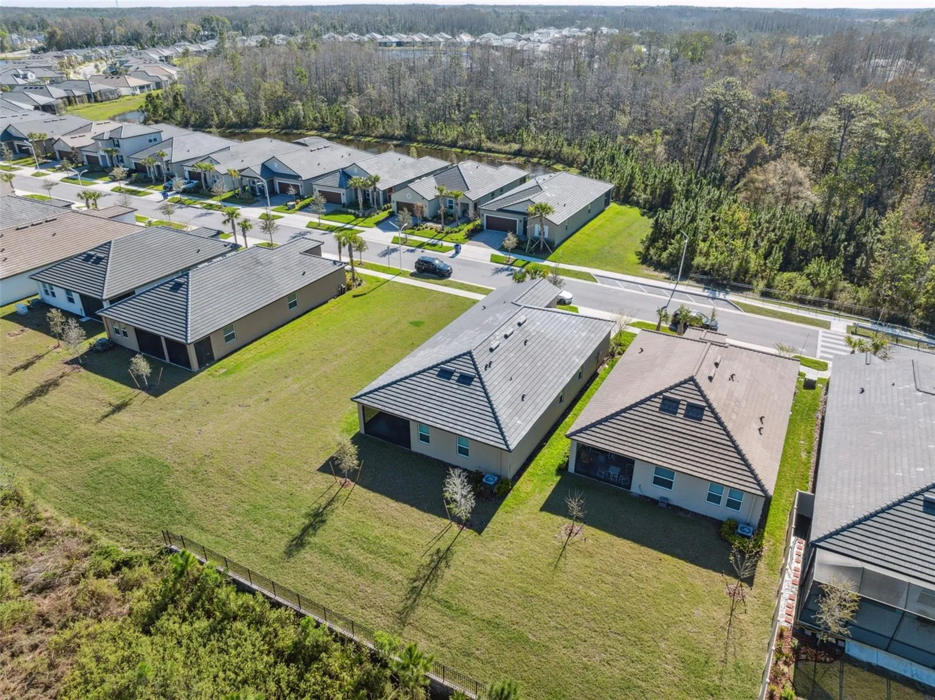 16787 Shell Bay Drive Land O Lakes FL 34638