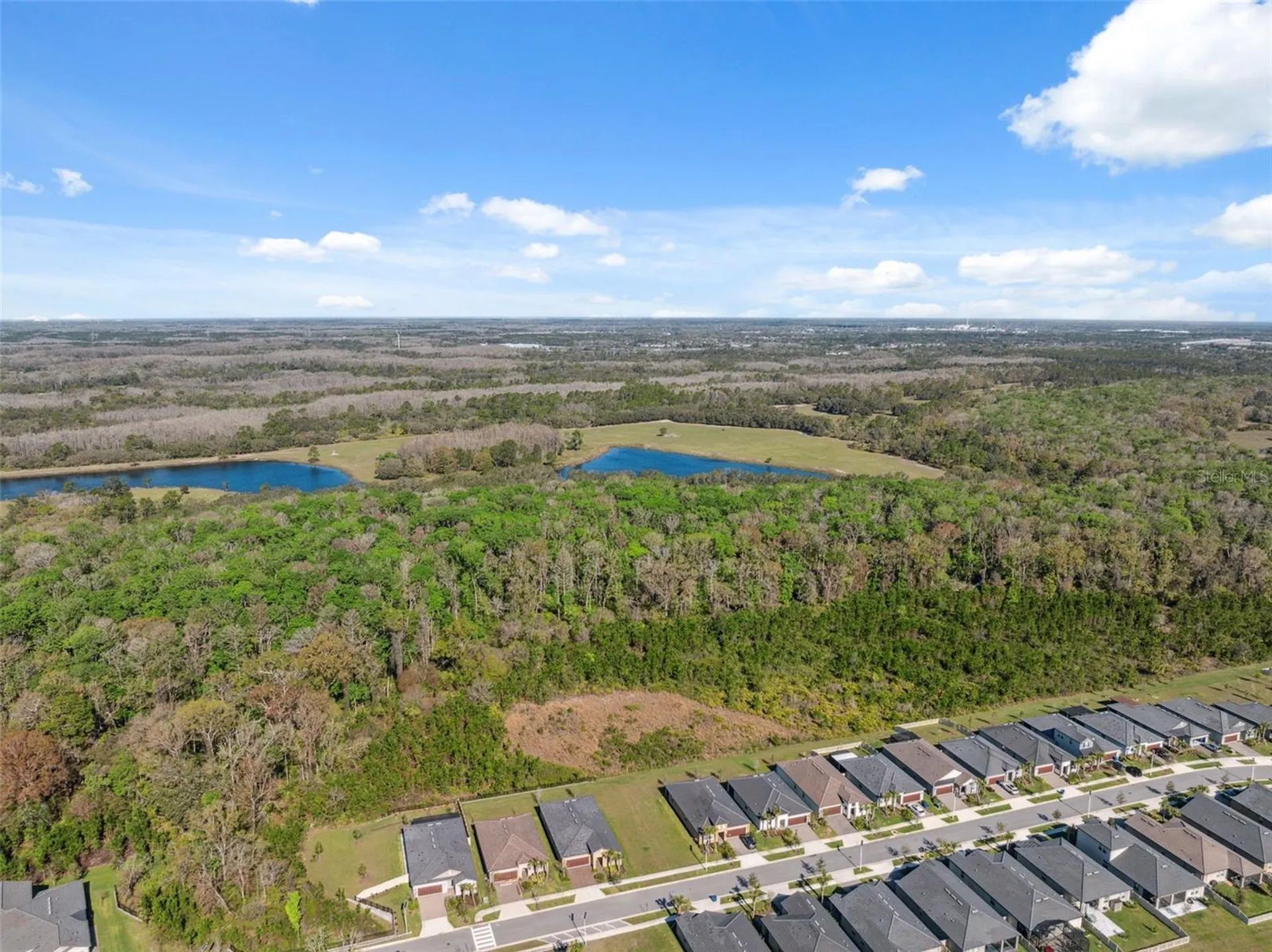 16787 Shell Bay Drive Land O Lakes FL 34638