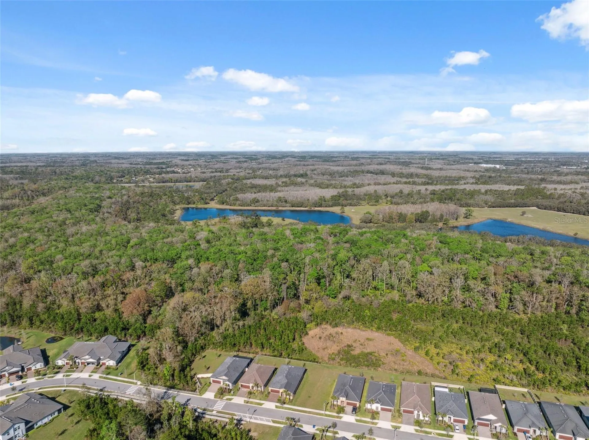 16787 Shell Bay Drive Land O Lakes FL 34638
