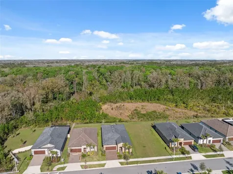 16787 Shell Bay Drive Land O Lakes FL 34638