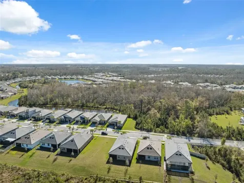 16787 Shell Bay Drive Land O Lakes FL 34638