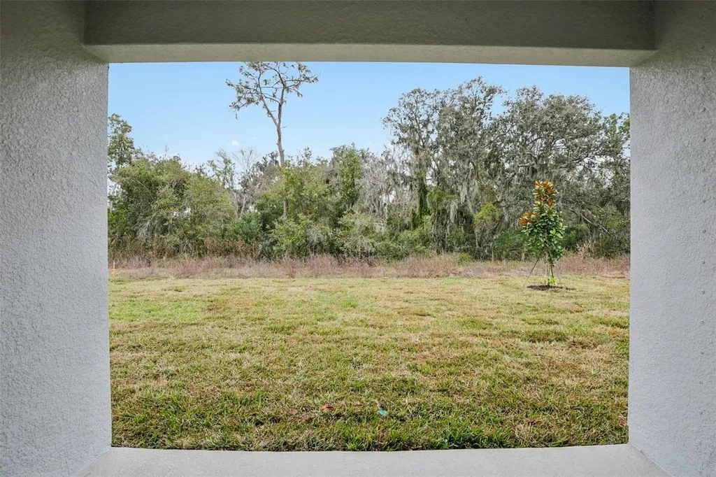 4940 Eagle Rock Drive Wimauma FL 33598