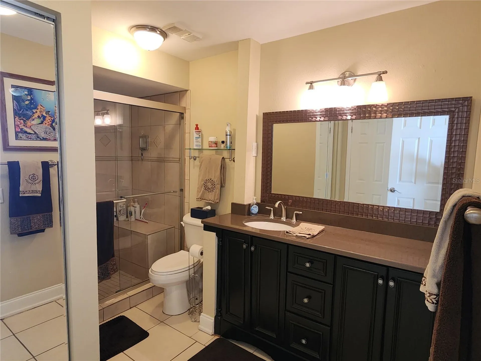 6290 Bahia Del Mar Circle St Petersburg FL 33715