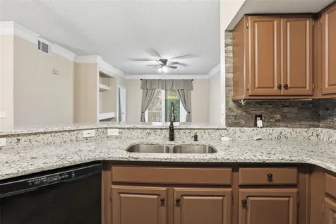 13103 Mulberry Park Drive Orlando FL 32821
