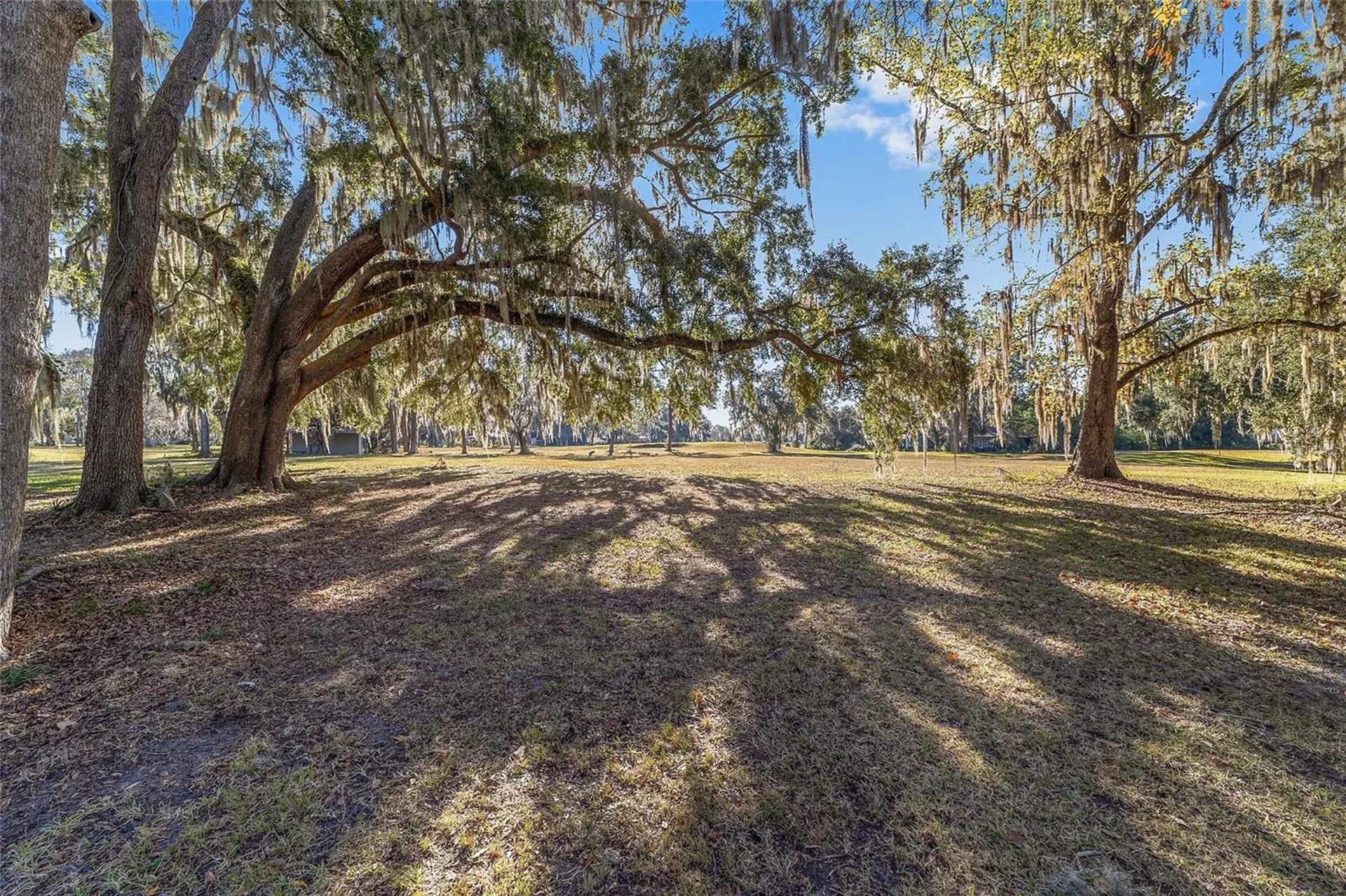 6015 SW 36th Way Gainesville FL 32608