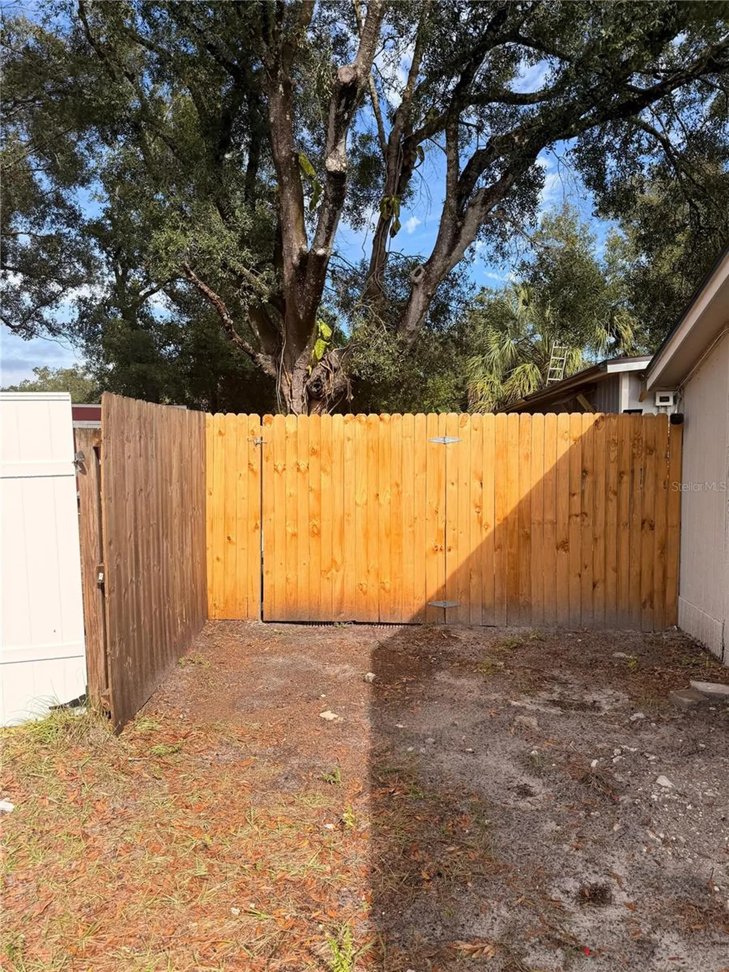 3719 Meadowbreeze Drive Tampa FL 33619