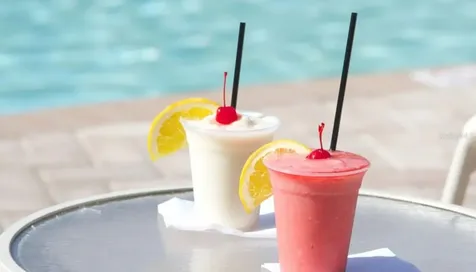 1952 Hillsong Terrace Palm Harbor FL 34684
