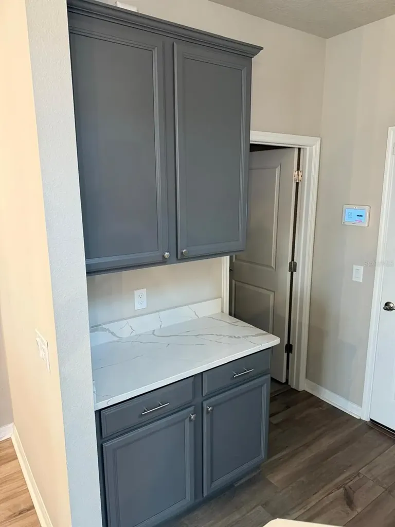 12055 Bracco Street Winter Garden FL 34787