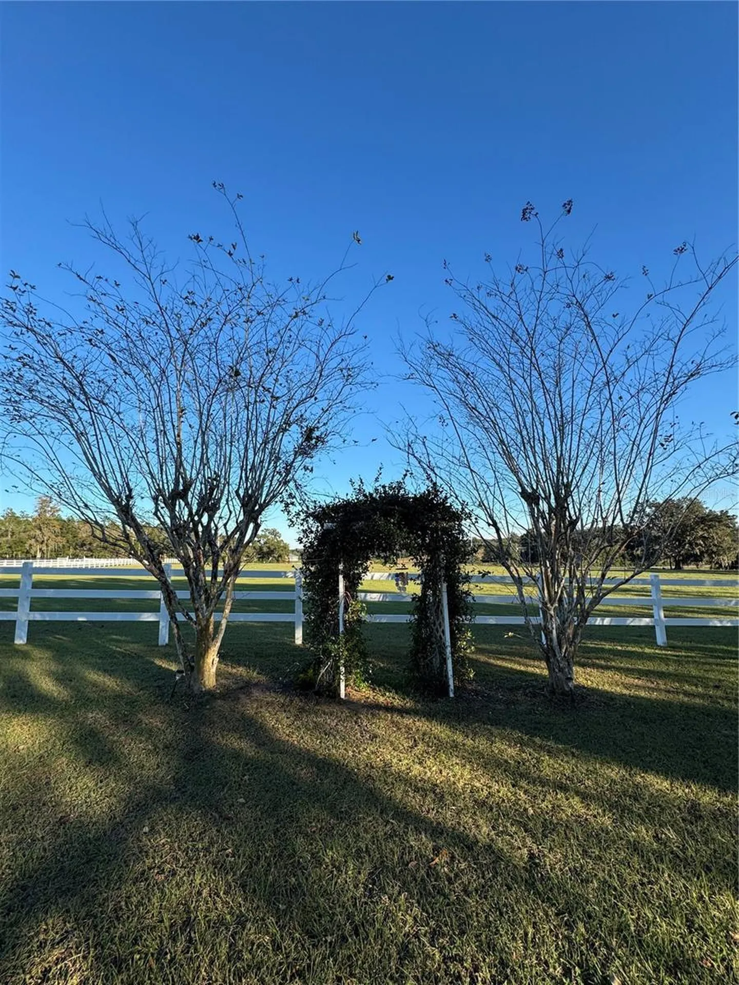 17725 Powerline Road Dade City FL 33523