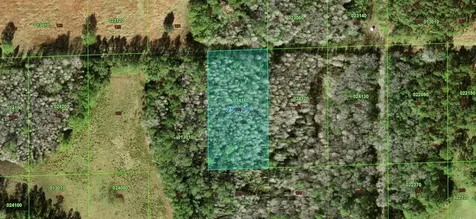 None Polk City FL 33868