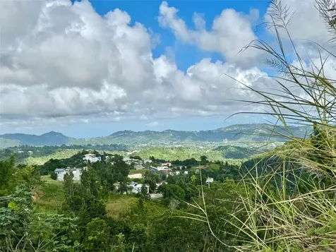 Calle 5 Caguas PR 00727