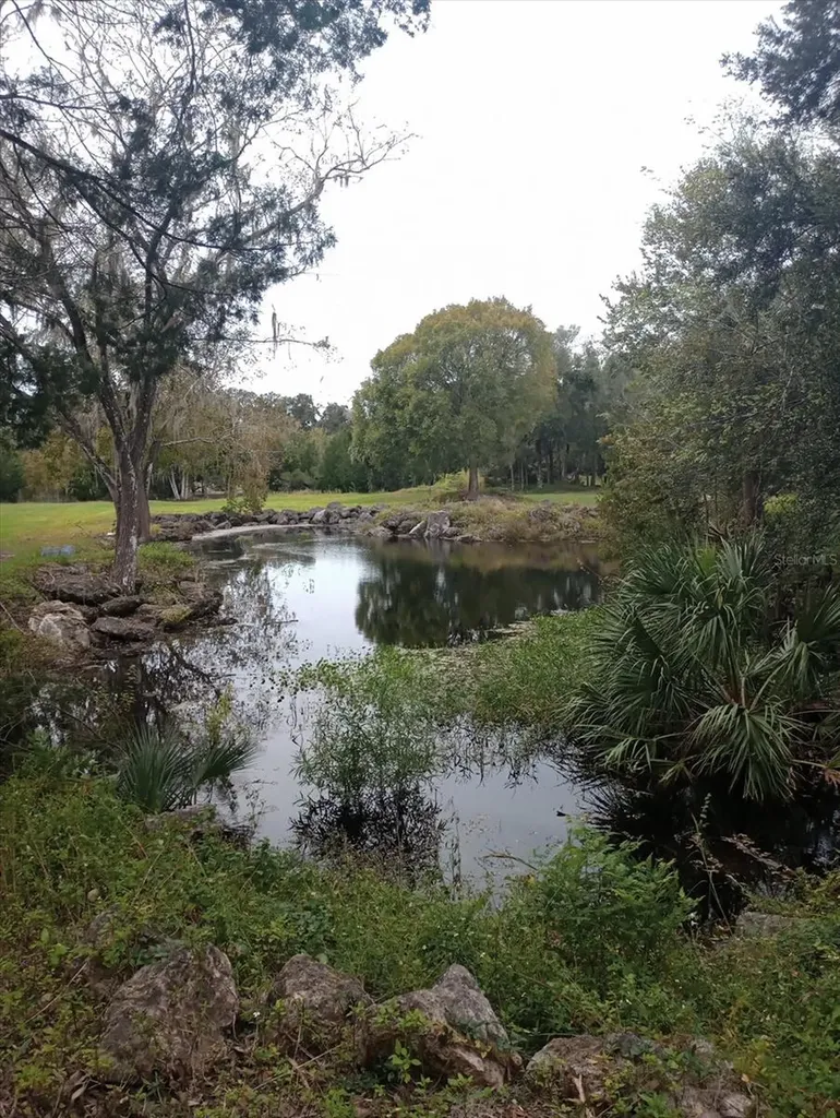 8792 S Steed Terrace Floral City FL 34436