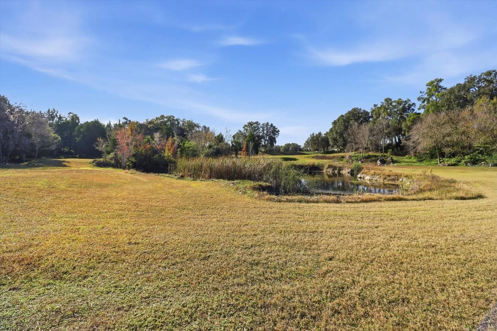 8792 S Steed Terrace Floral City FL 34436