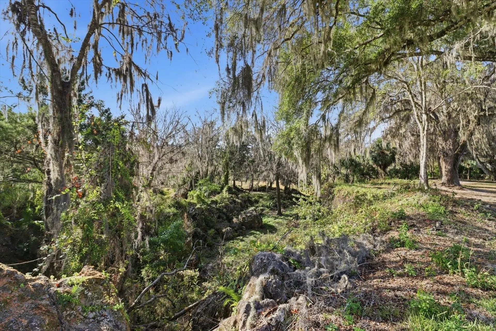8792 S Steed Terrace Floral City FL 34436