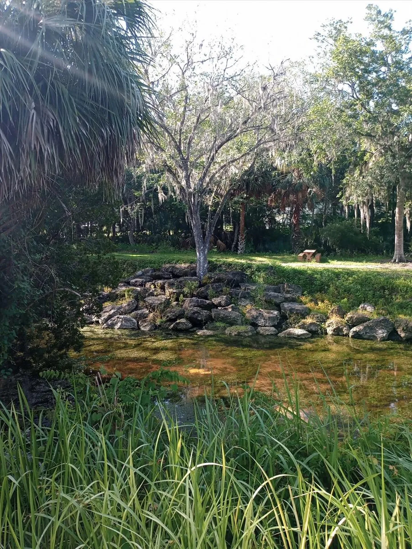 8792 S Steed Terrace Floral City FL 34436
