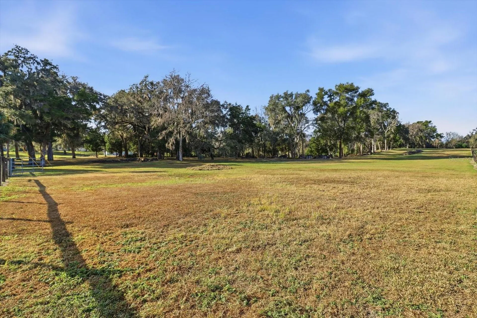 8792 S Steed Terrace Floral City FL 34436