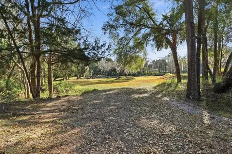 8792 S Steed Terrace Floral City FL 34436