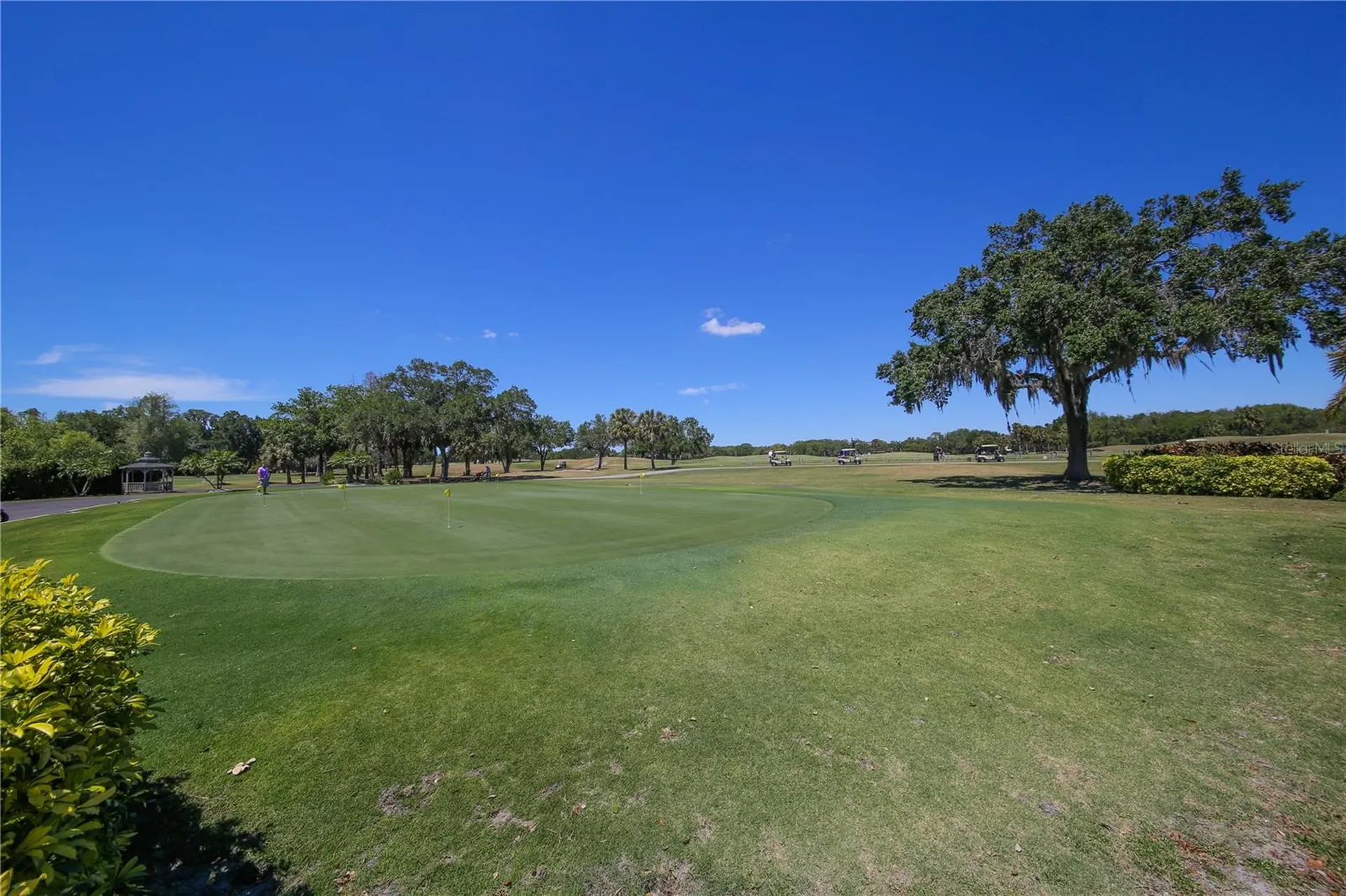 11443 Savannah Lakes Drive Parrish FL 34219