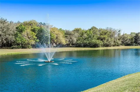 11443 Savannah Lakes Drive Parrish FL 34219