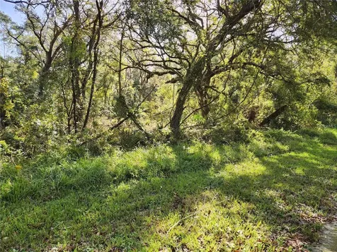 000 Table Rock Drive Webster FL 33597