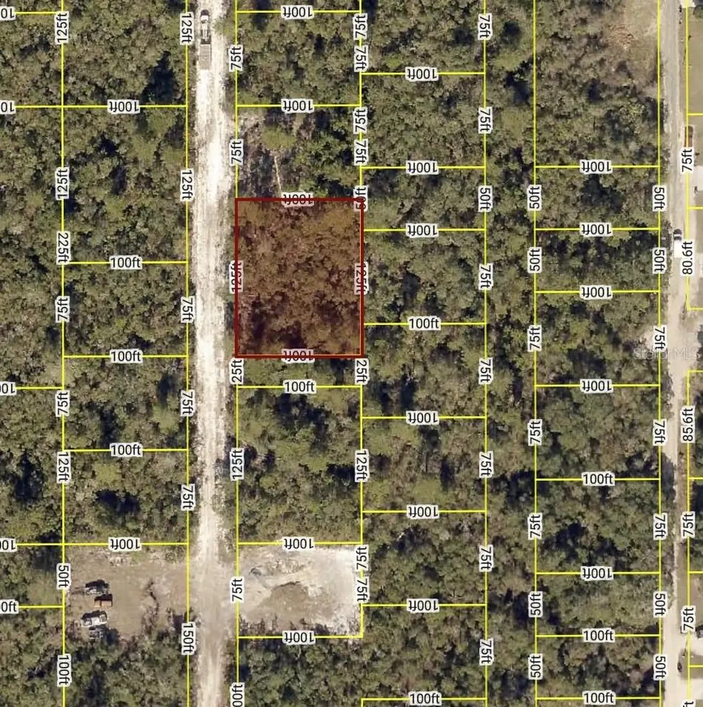 Waldor Avenue Orange City FL 32763