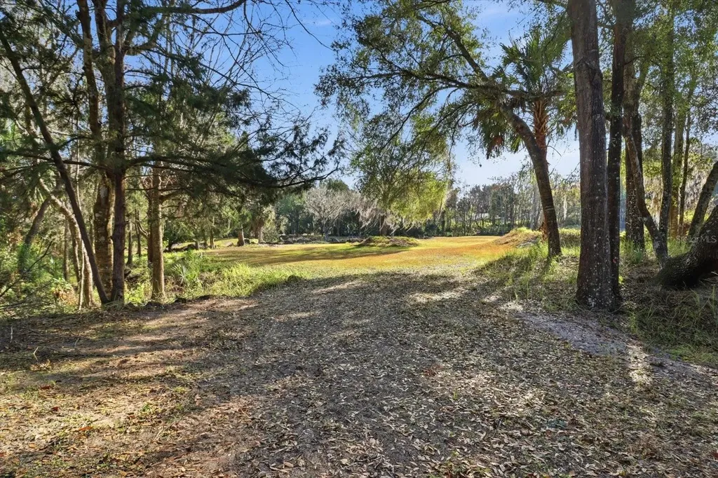 8800 S Steed Terrace Floral City FL 34436
