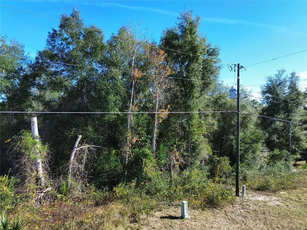 0 SE 178th Avenue Silver Springs FL 34488
