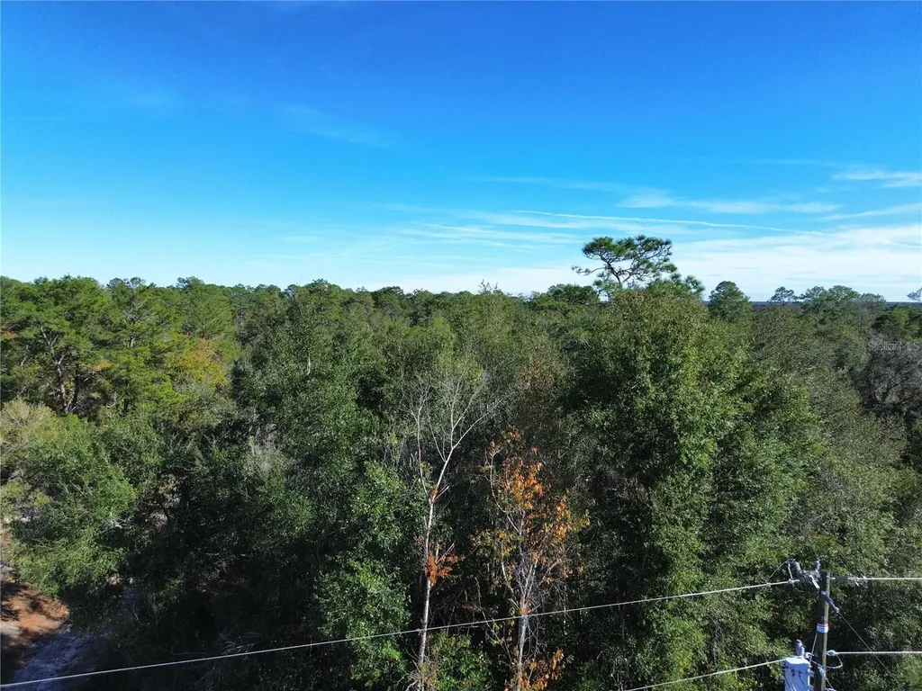 0 SE 178th Avenue Silver Springs FL 34488